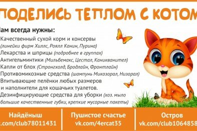 «Поделись теплом с котом»