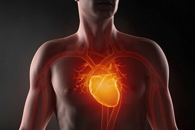 Сегодня в Череповце состоится бесплатная лекция на тему профилактики сердечных заболеваний